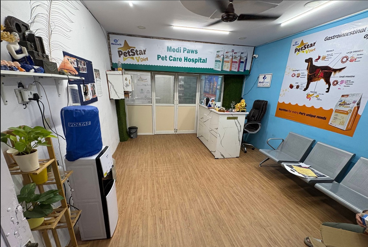 MediPaws Main Hospital Reception & Waiting Area